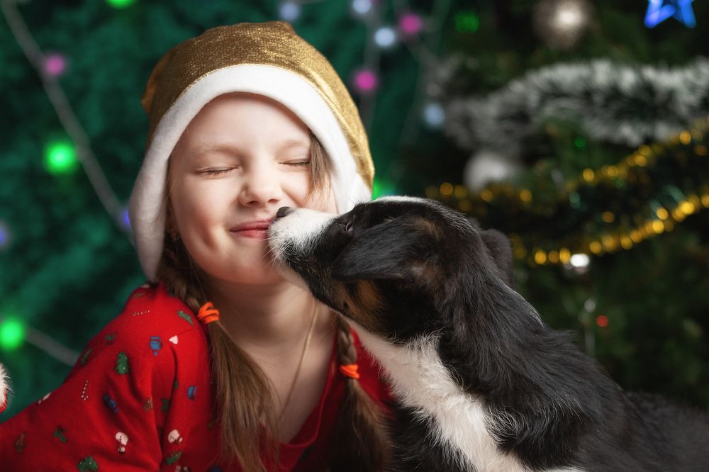 Photograph by Юлия Зубкова