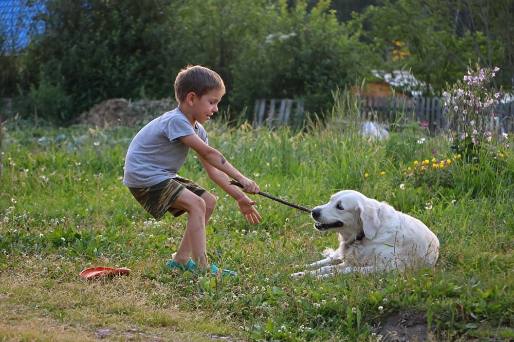 Photograph by Елена Алексеева