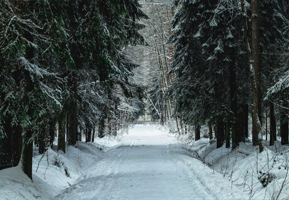 Photograph by Максим Кольцов