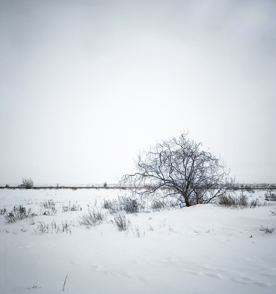 Photograph by Дамир Батряков