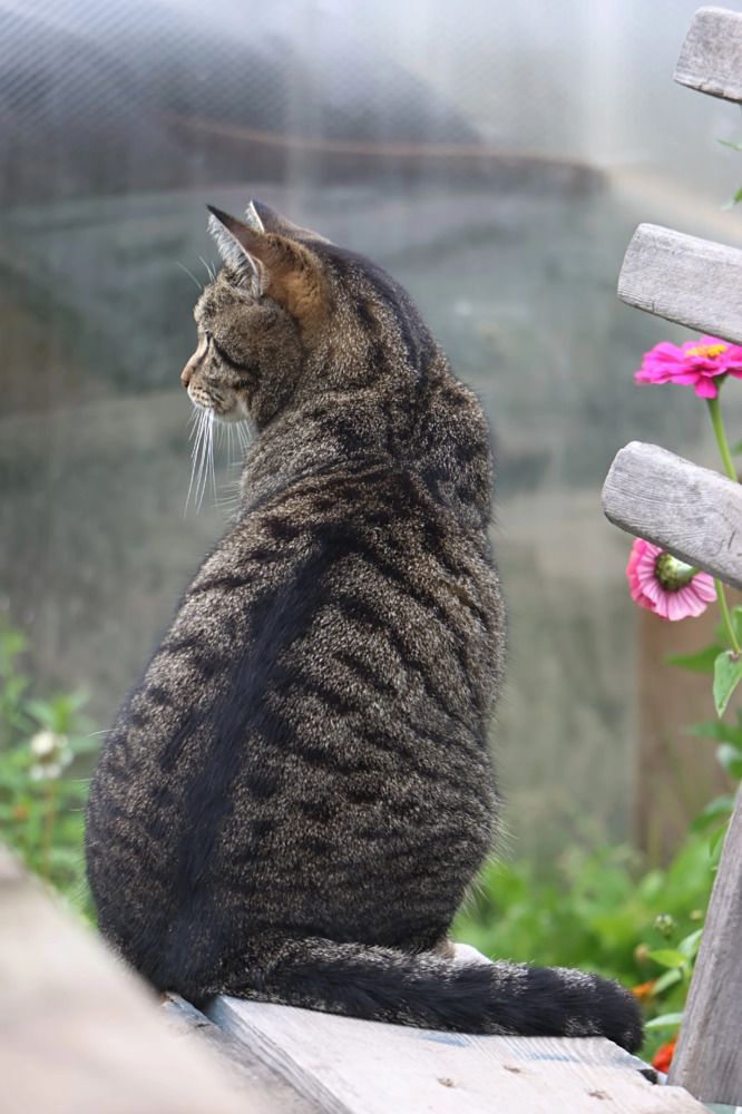 Photograph by Елена Алексеева