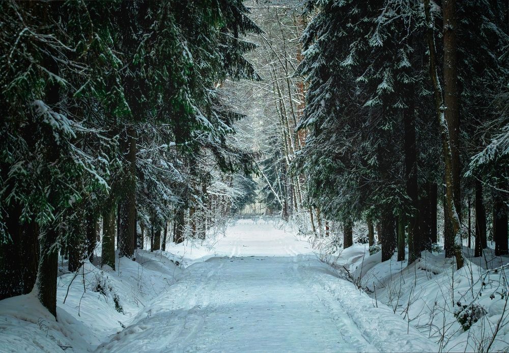 Фотография автора Максим Кольцов