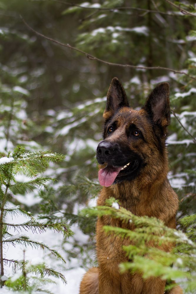 Photograph by Ольга Адольф