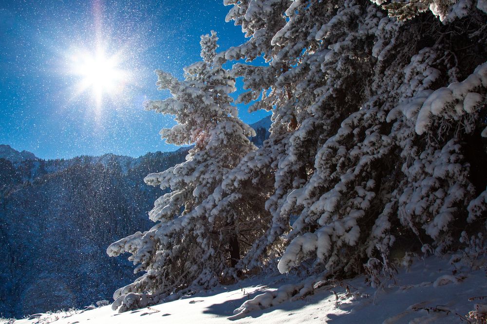 Фотография автора Andrey Shishkalov