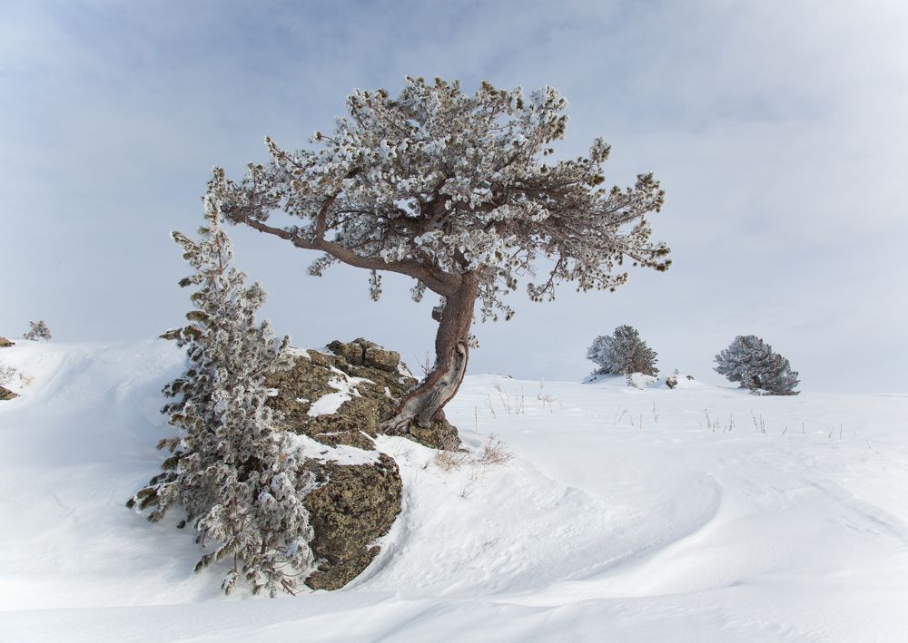 Photograph by Andrey Shishkalov