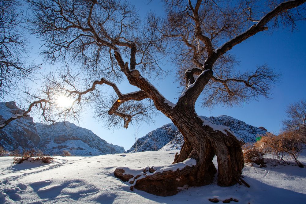 Фотография автора Andrey Shishkalov