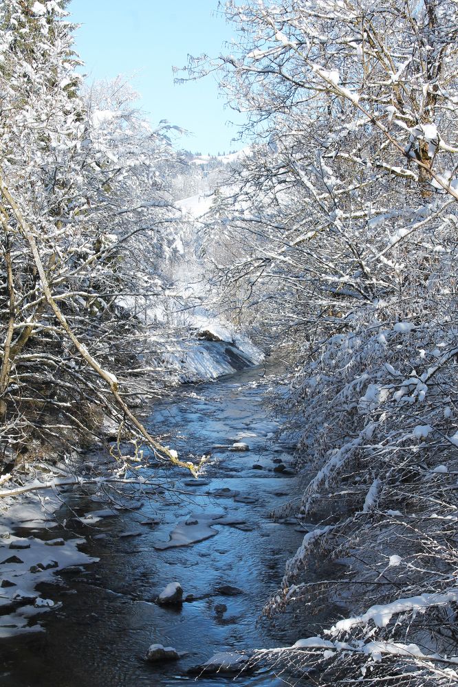 Photograph by Диана Ульянцева