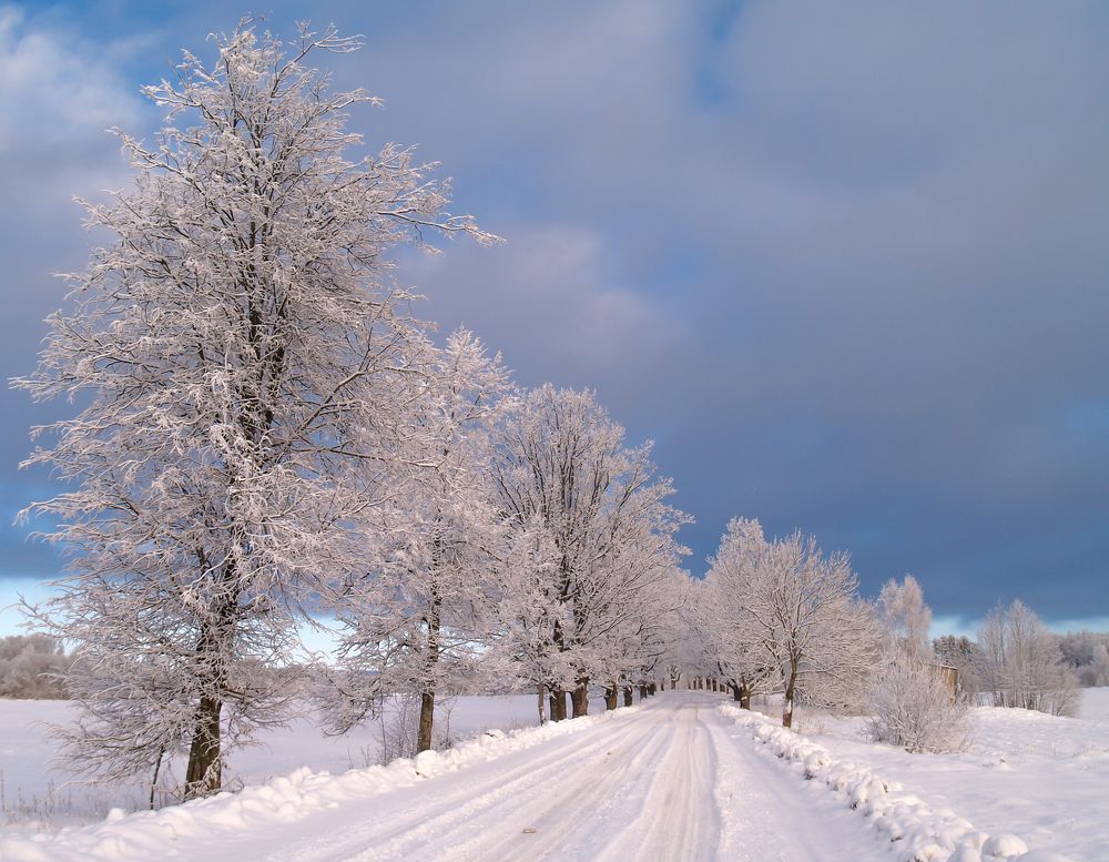 Photograph by Agita Leimane