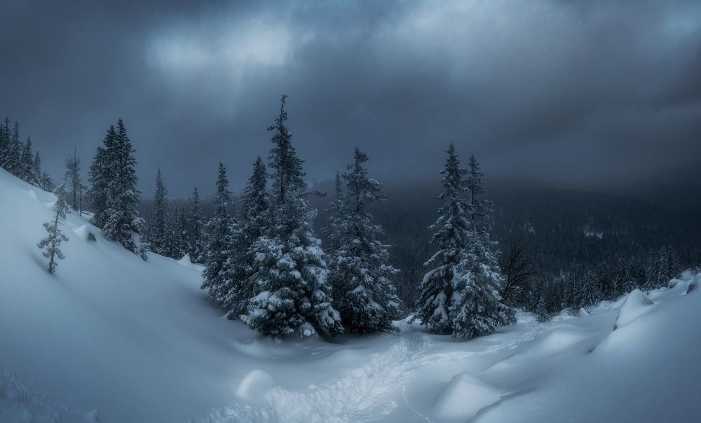 Photograph by Михаил Карпов