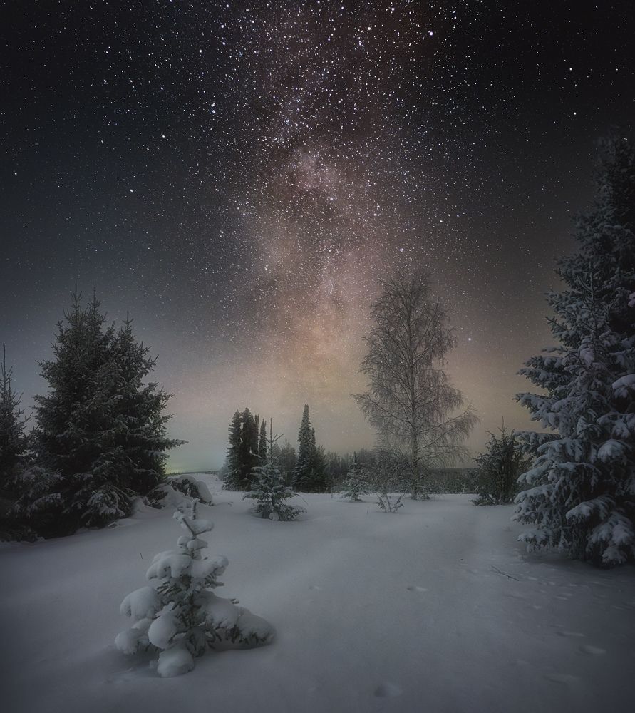 Фотография автора Dmitry Medyancev