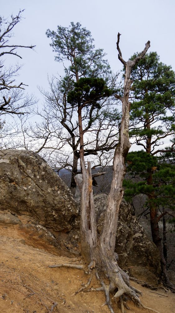 Photograph by Алексей Киселев