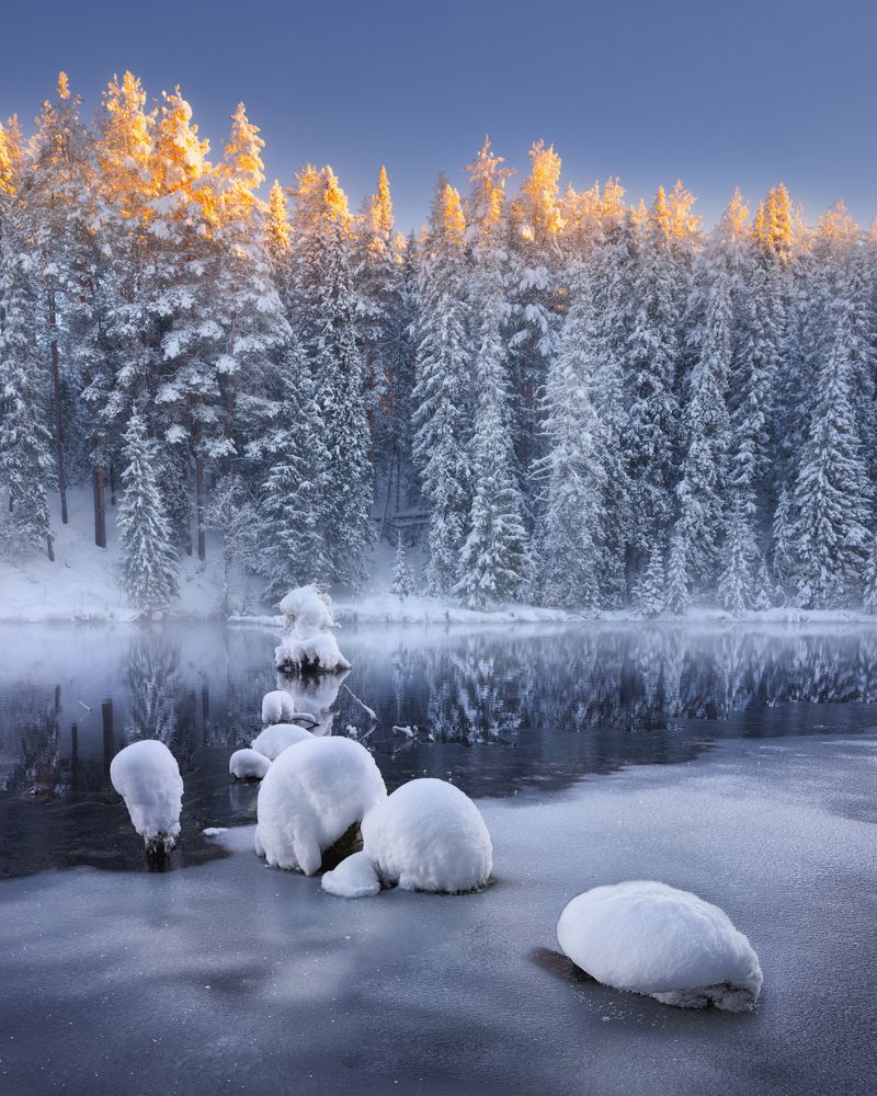 Photograph by Dmitry Medyancev