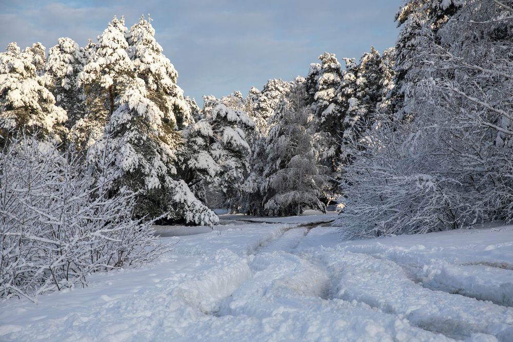 Photograph by Саша Корнюшин