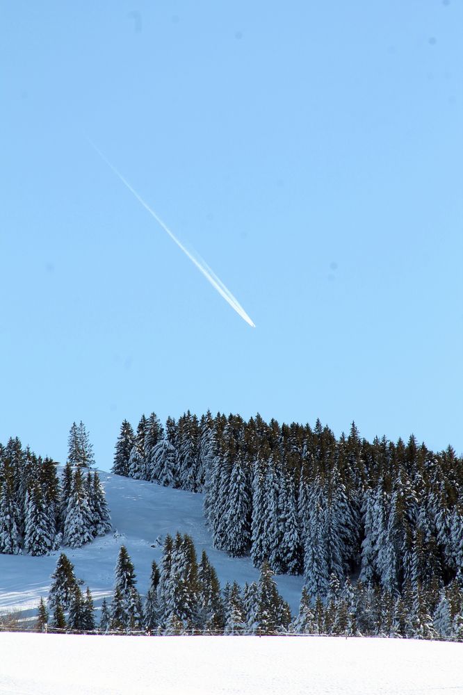 Photograph by Диана Ульянцева