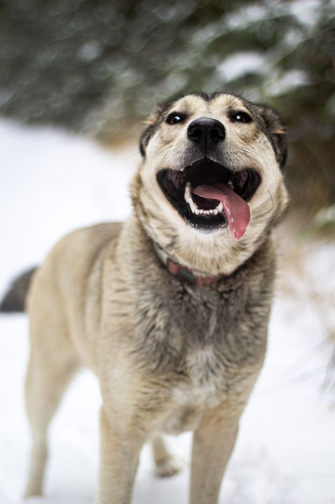 Photograph by Ольга Адольф