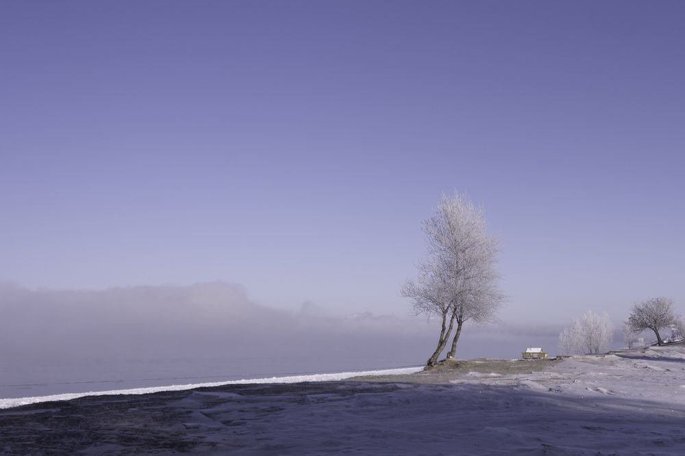 Photograph by Ольга Салтыкова