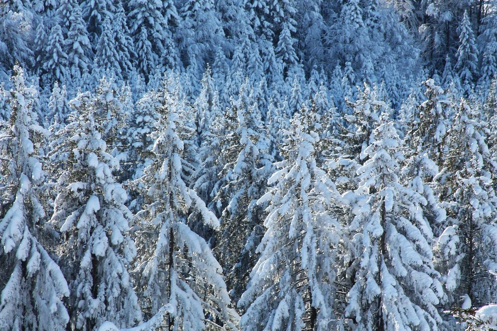 Photograph by Диана Ульянцева