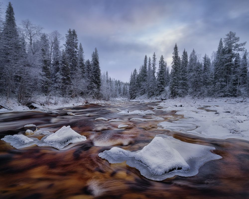 Photograph by Dmitry Medyancev