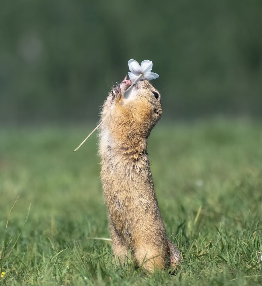 Photograph by Фомина Марина