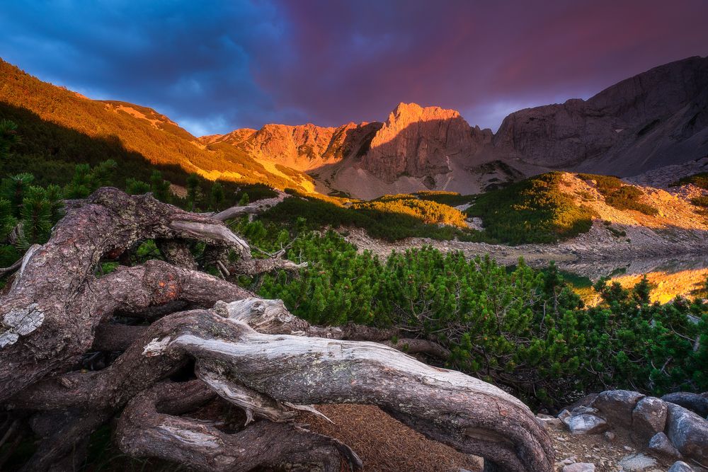 Фотография автора Mariyana Atanasova - Lucero