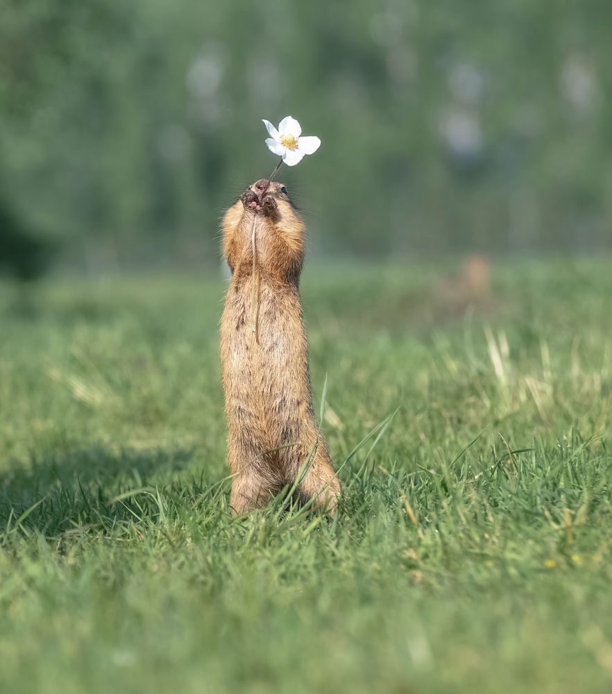 Photograph by Фомина Марина