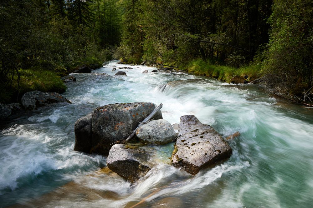 Photograph by Глеб Заходякин