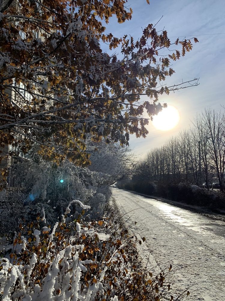 Photograph by Лариса