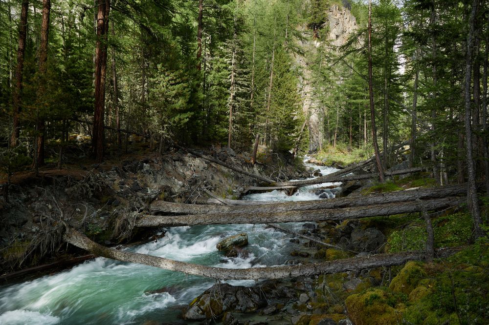 Photograph by Глеб Заходякин