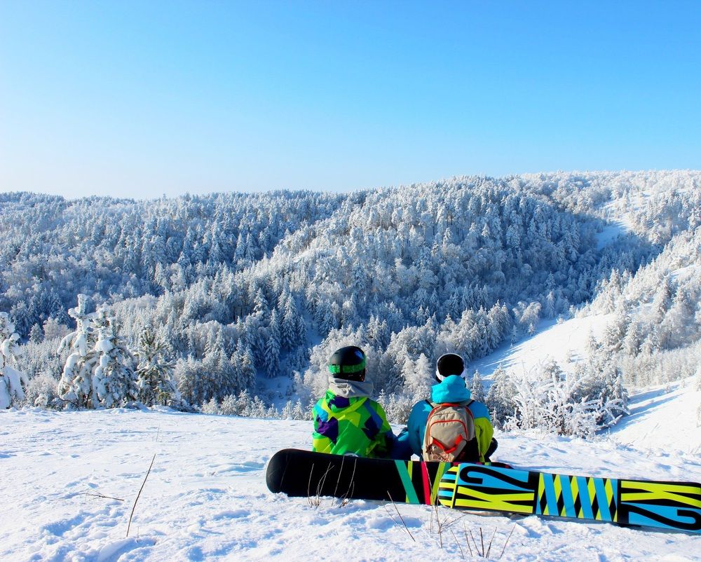 Ёлки и доски