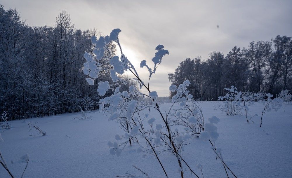 Photograph by Ольга Ченцова