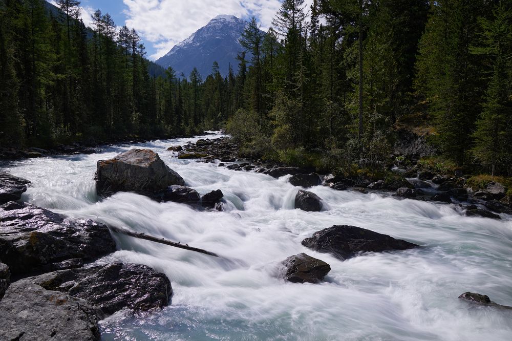 Photograph by Глеб Заходякин