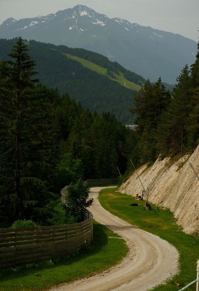 Фотография автора Elvijs Kalniņš