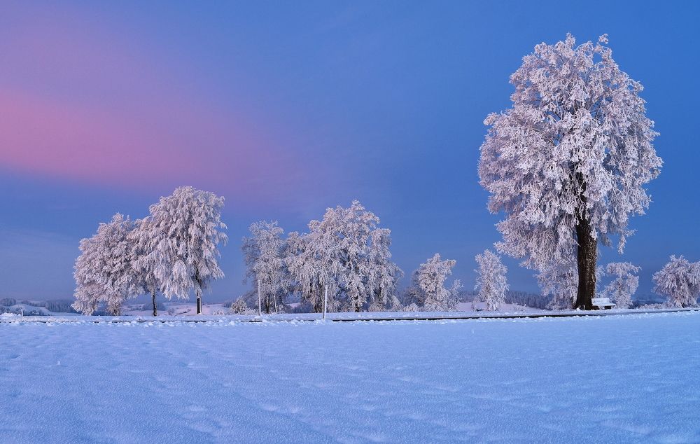 Photograph by Elena Wymann