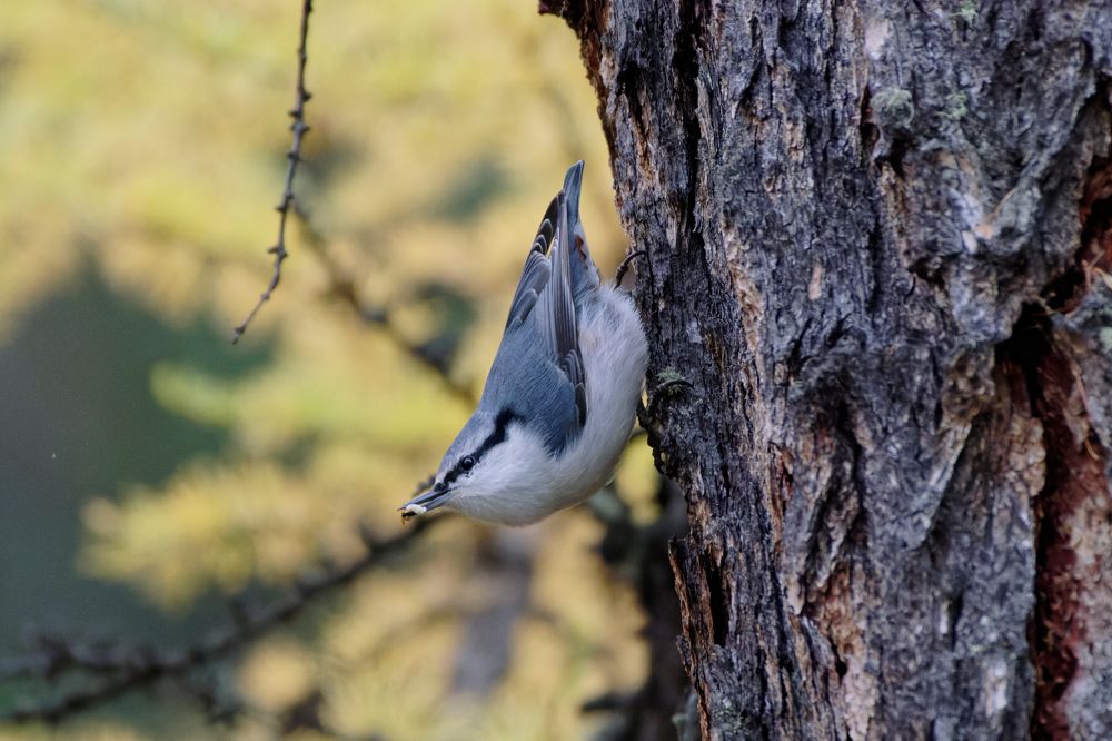 Заморим червячка?