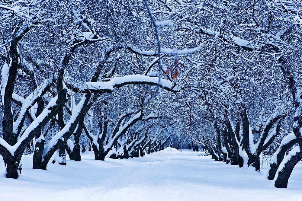 Photograph by Дмитрий Розенбаум