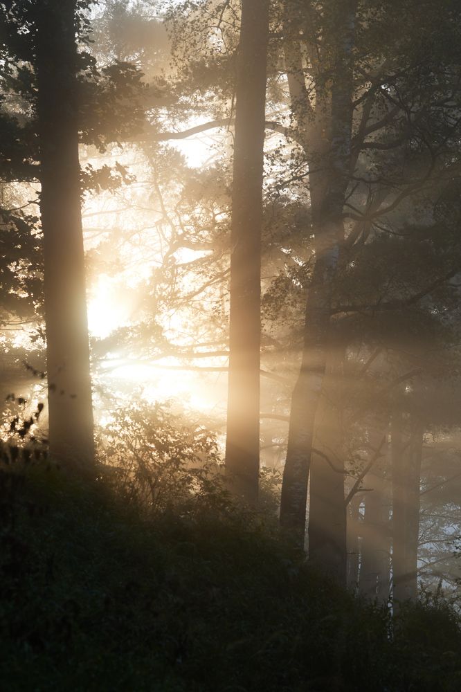 Photograph by Глеб Заходякин