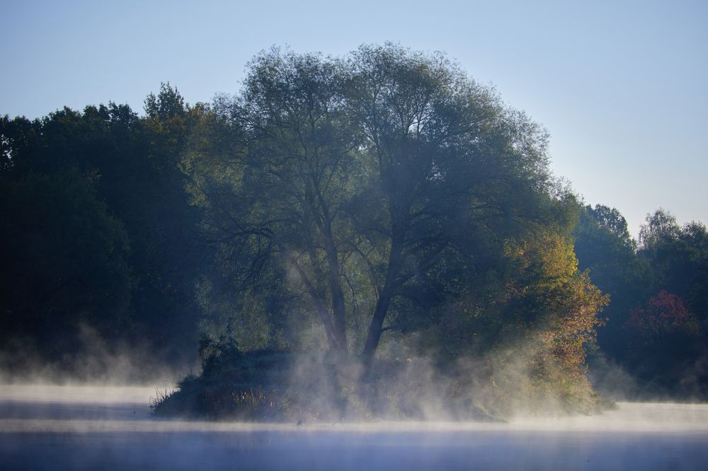 Photograph by Глеб Заходякин