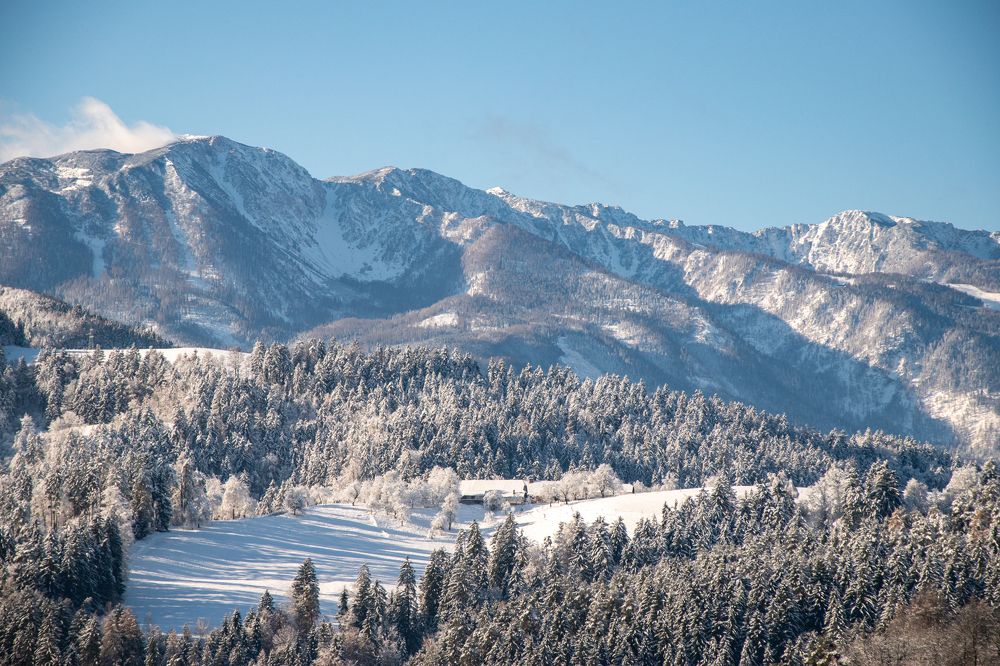 Photograph by Karolina Navodnik