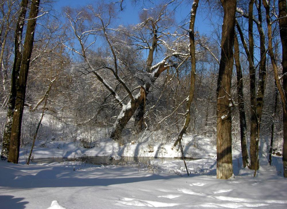 Photograph by Дмитрий Розенбаум