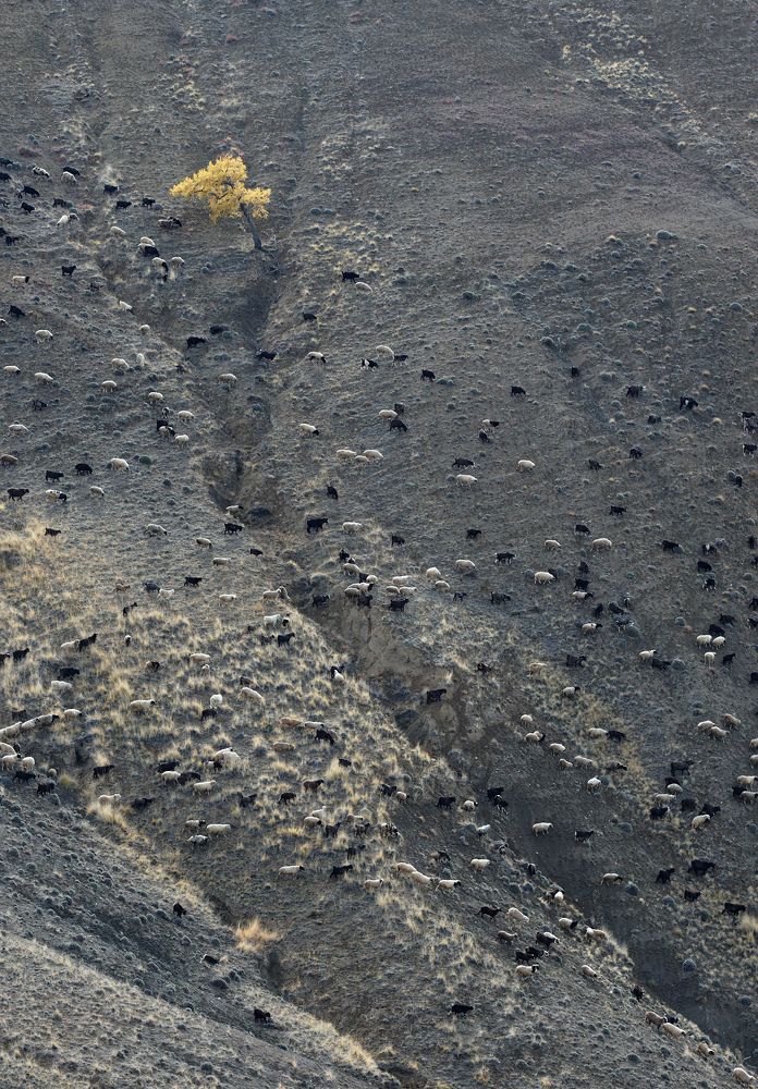 Клочок сентября