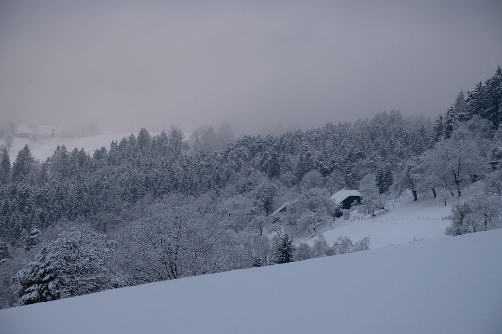 Photograph by Karolina Navodnik