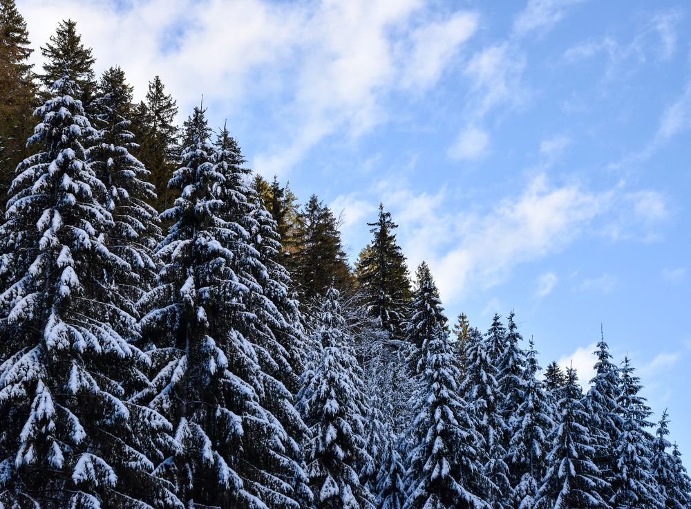 Photograph by Karolina Navodnik