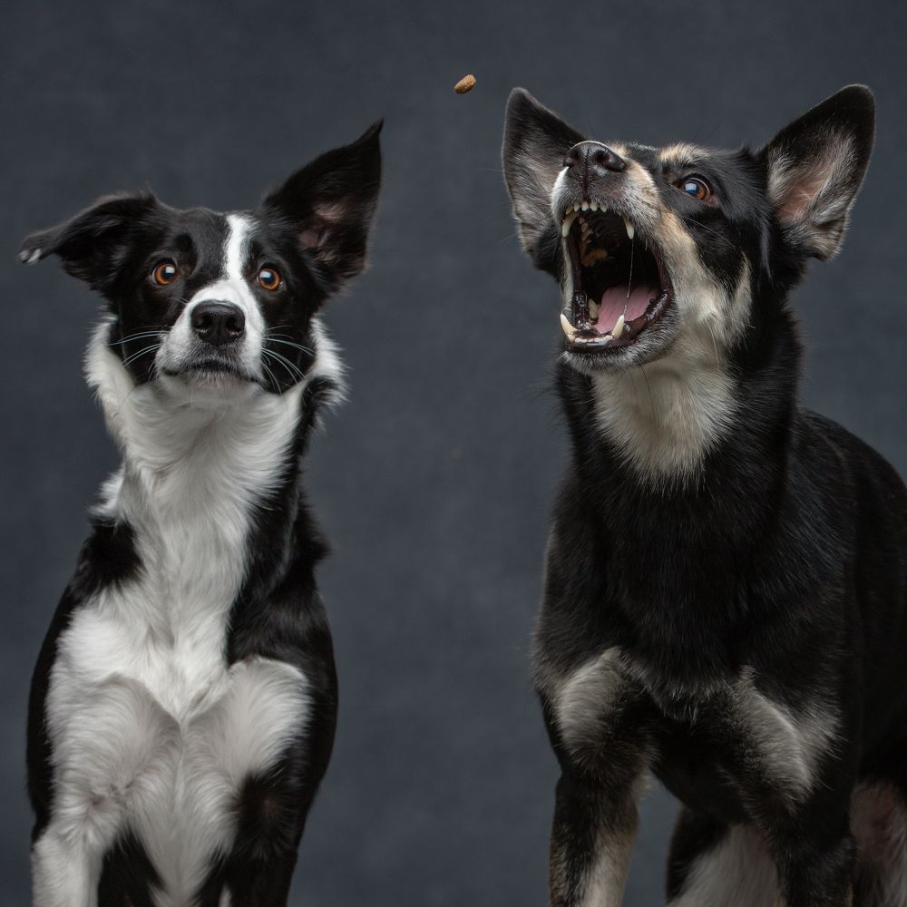 Photograph by Юлия Зубкова