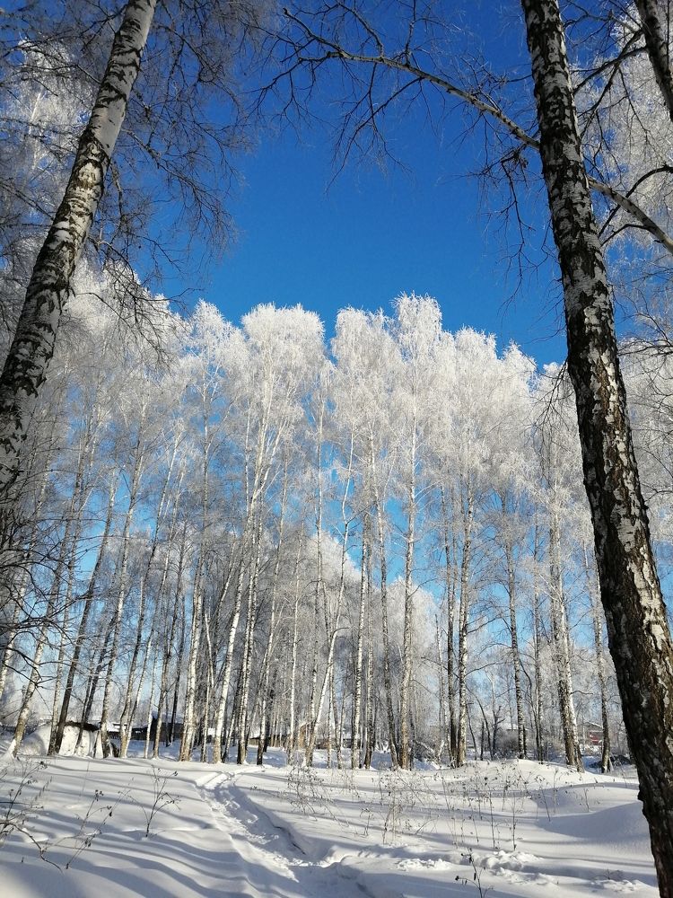 Photo #10113795