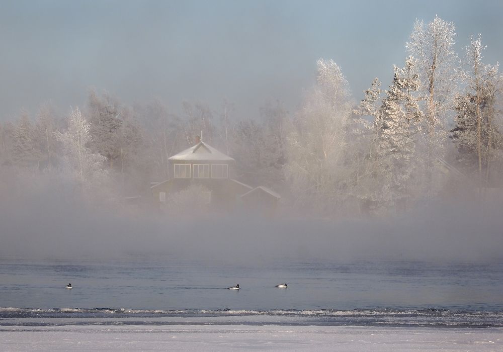 Photograph by Александр Попов