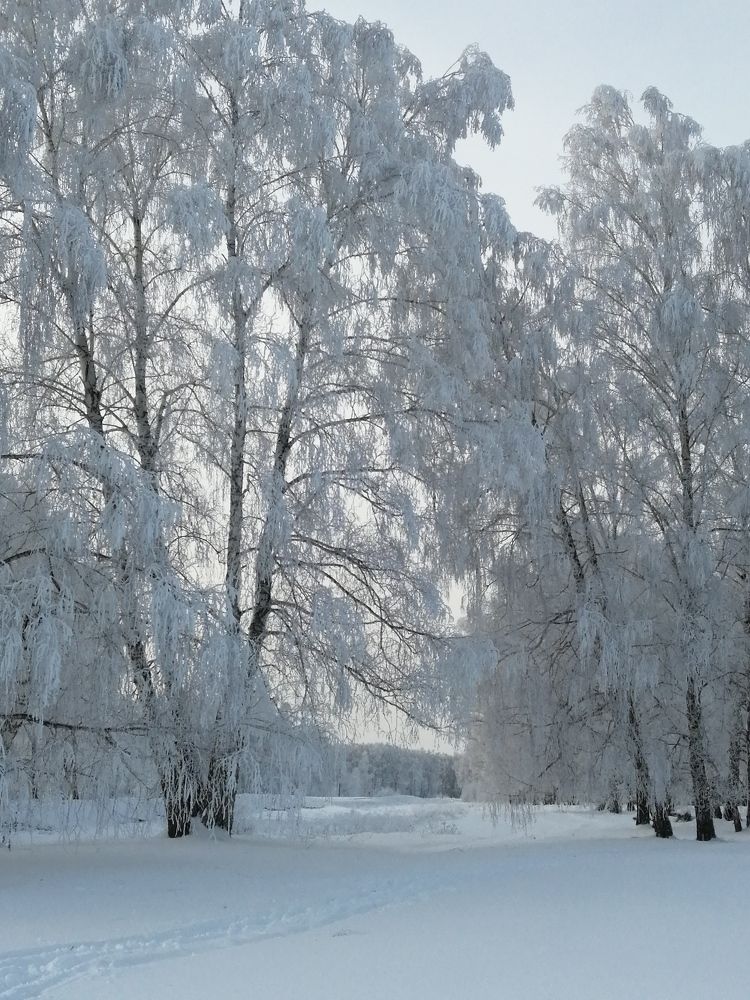 Photograph by Галина Попова