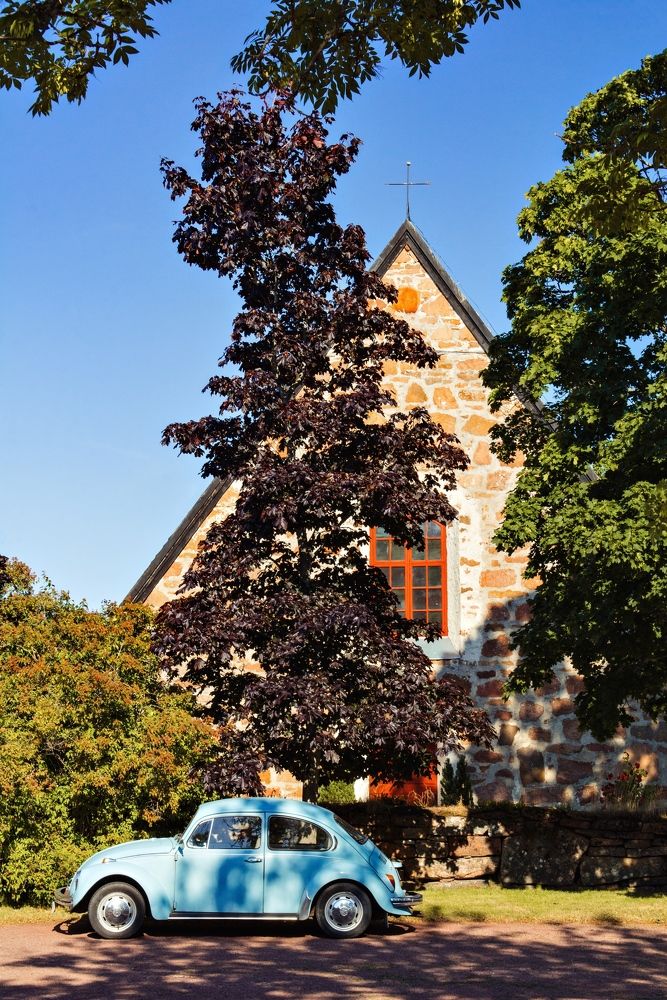 Фотография автора Irina Panina