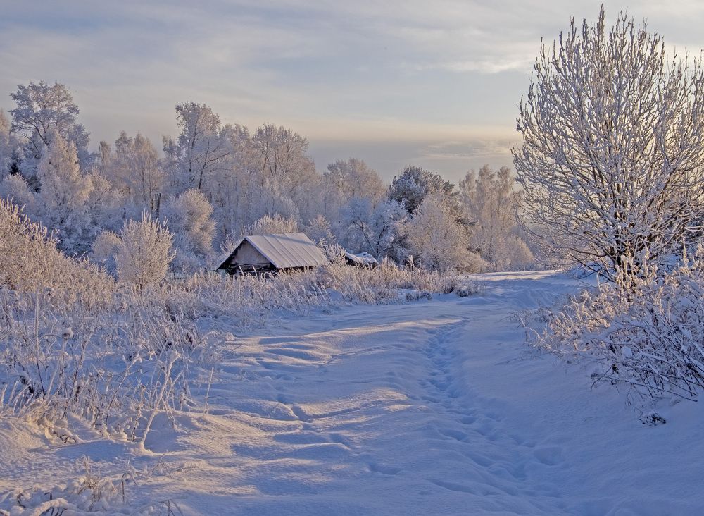 Фотография автора Наталья Липовская