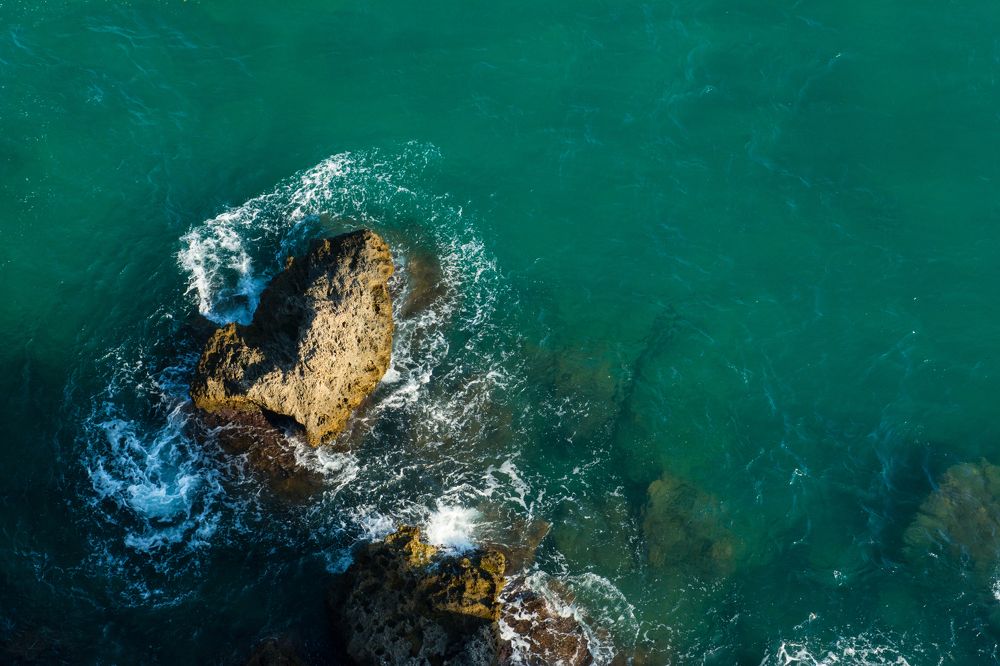 Фотография автора Irina Panina