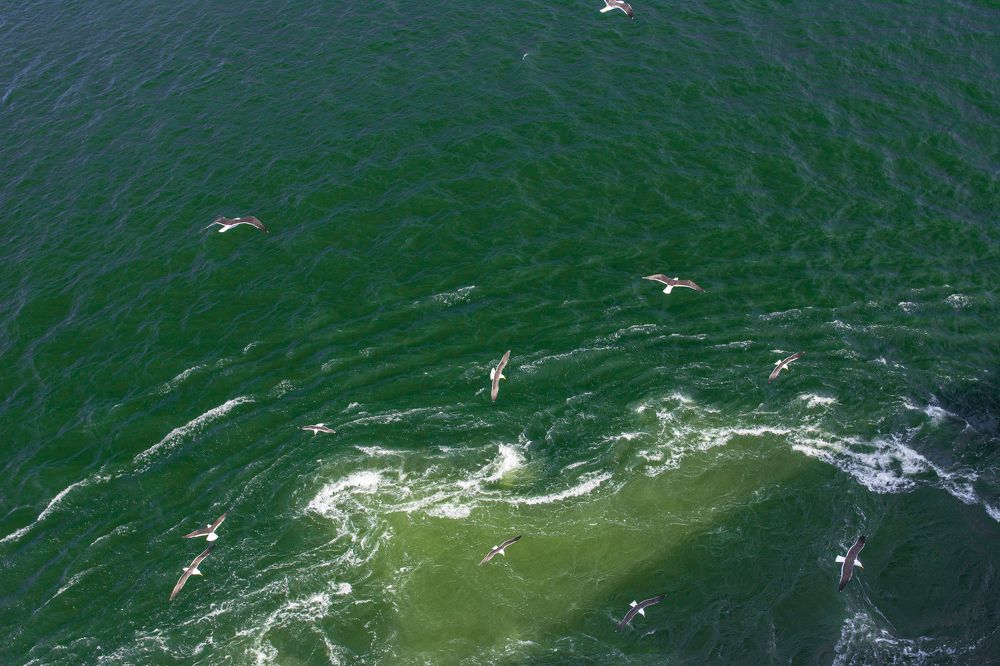 Фотография автора Irina Panina